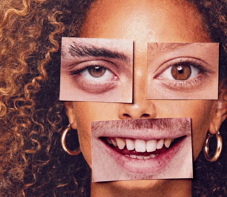 A candidate’s face assembled from features cut out of other people’s faces, illustrating a fabricated identity